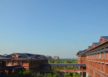 A One Minute Guide on Litigation in China or in Your Own Country￼