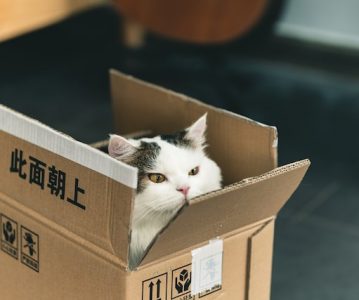 Is there any receipt after the Chinese Central Authority receives the request for service coming from foreign countries? – Service of Process and Hague Service Convention Series (4)