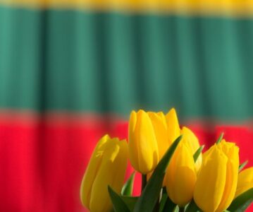 2023 Guide to Enforce Lithuanian Judgments in China